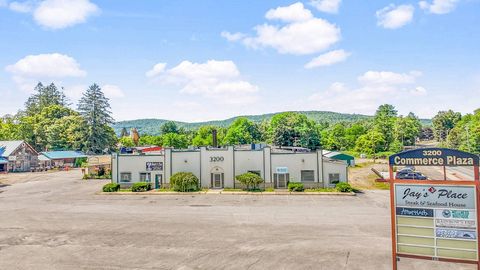 Photo of 449 Chestnut St, Oneonta, NY 13820 (MLS # 11554886)