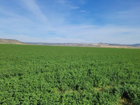 Photo of 67502 Scott Rd, Hines, OR 97738 (MLS # 11669721)