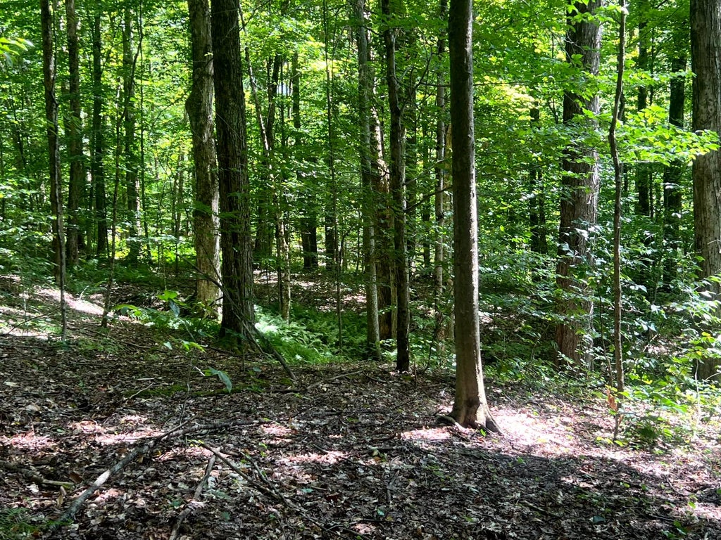 Photo of 17 Tannery Rd #7, Western, NY 13486 (MLS # 11920268)