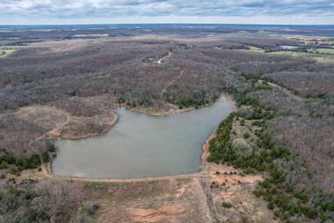 Photo of 10079 Co Rd 427, Cross Timbers, MO 65634 (MLS # 11688164)