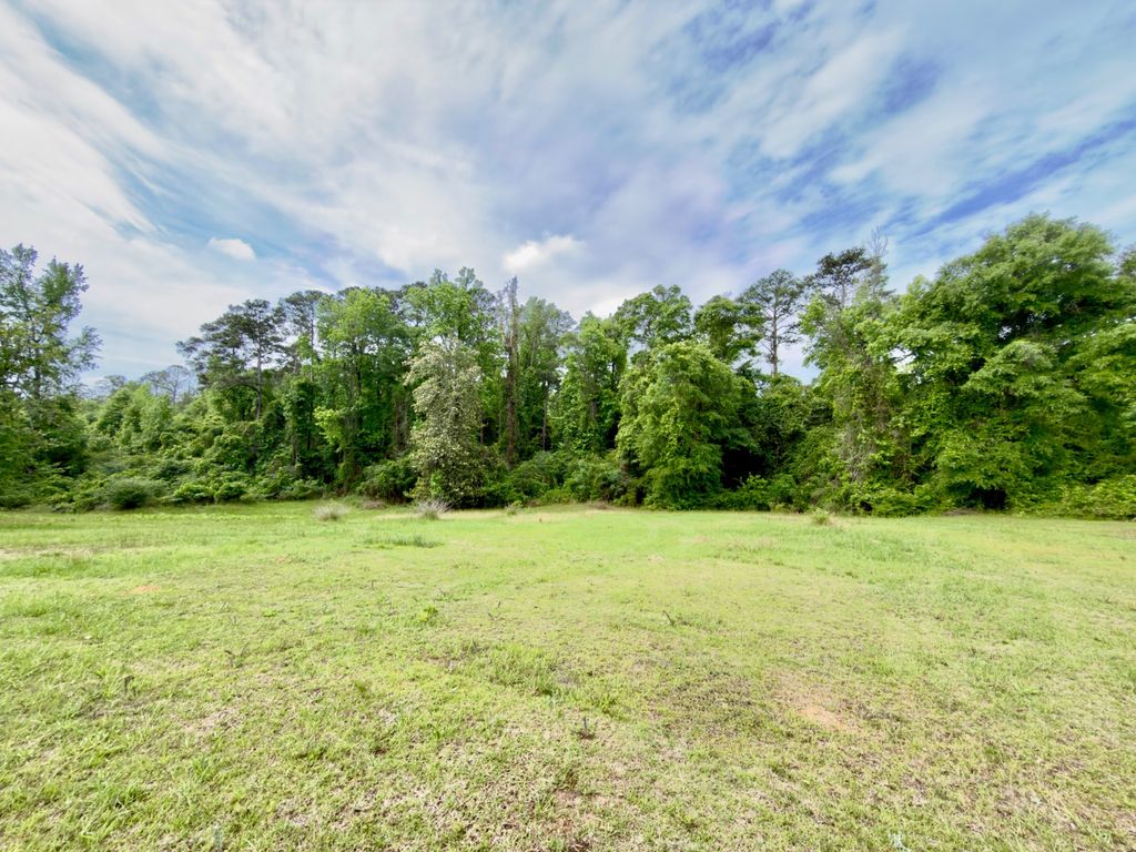 Photo of 149 East Cobb St, Grove Hill, AL 36451 (MLS # 11742569)