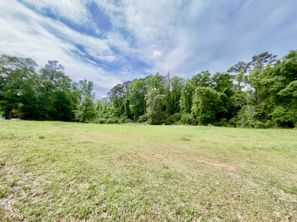 Photo of 149 East Cobb St, Grove Hill, AL 36451 (MLS # 11742569)