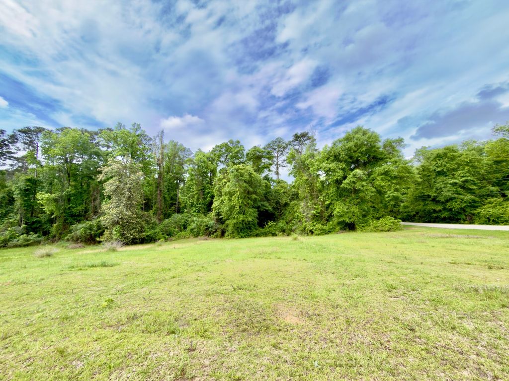 Photo of 149 East Cobb St, Grove Hill, AL 36451 (MLS # 11742569)