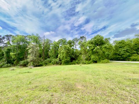 Photo of 149 East Cobb St, Grove Hill, AL 36451 (MLS # 11742569)
