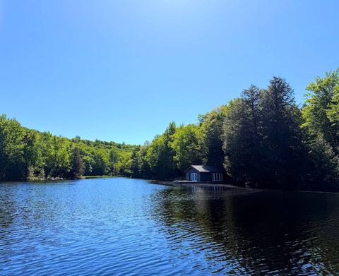 Photo of 0 Chair Rock Flow, CRANBERRY LAKE, NY 12927 (MLS # 11801305)