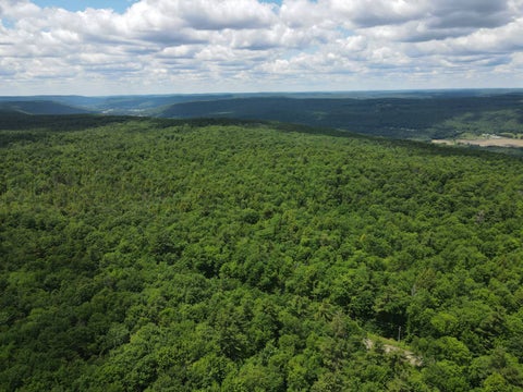 Photo of 0 Iron Kettle Road, Maryland, NY 12116 (MLS # 11869107)