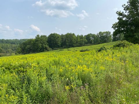 Photo of 0 Keys Rd #Lot 1, Cooperstown, NY 13326 (MLS # 11333351)