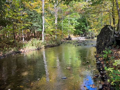 Photo of 113 Wart Rd #13, Orwell, NY 13426 (MLS # 11675625)