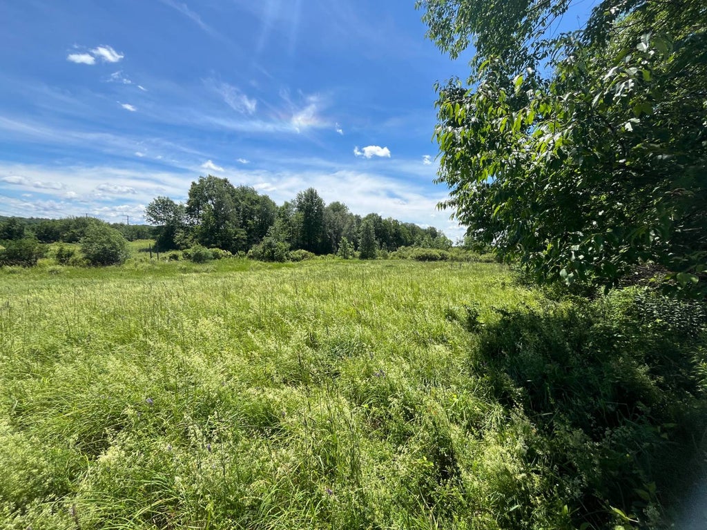 Photo of 00 Eddy Pyrites Rd #4, Canton, NY 13617 (MLS # 11850440)