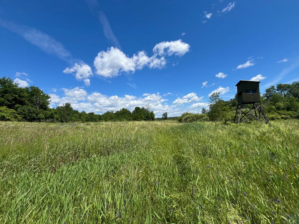 Photo of 00 Eddy Pyrites Rd #4, Canton, NY 13617 (MLS # 11850440)