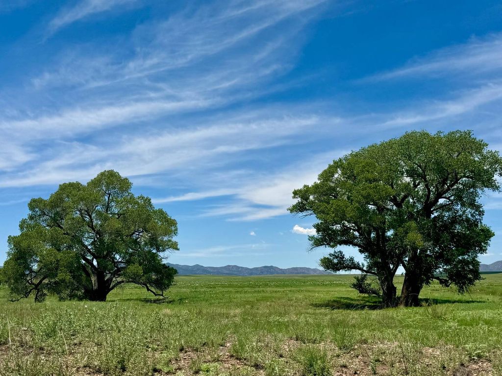 Photo of 214 Apache Rd, Patagonia, AZ 85624 (MLS # 11642253)