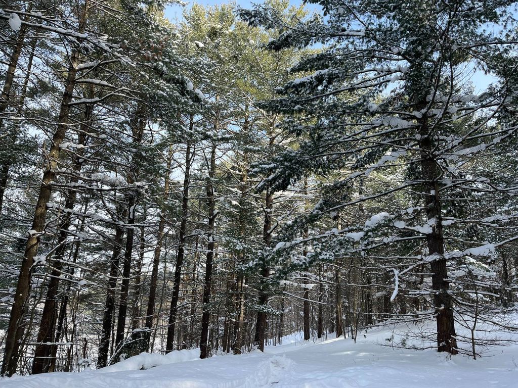 Photo of 00 Arnoldville Rd #2, Diana, NY 13648 (MLS # 11642810)