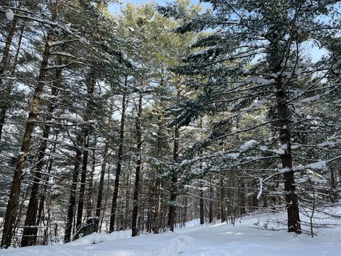 Photo of 00 Arnoldville Rd #2, Diana, NY 13648 (MLS # 11642810)