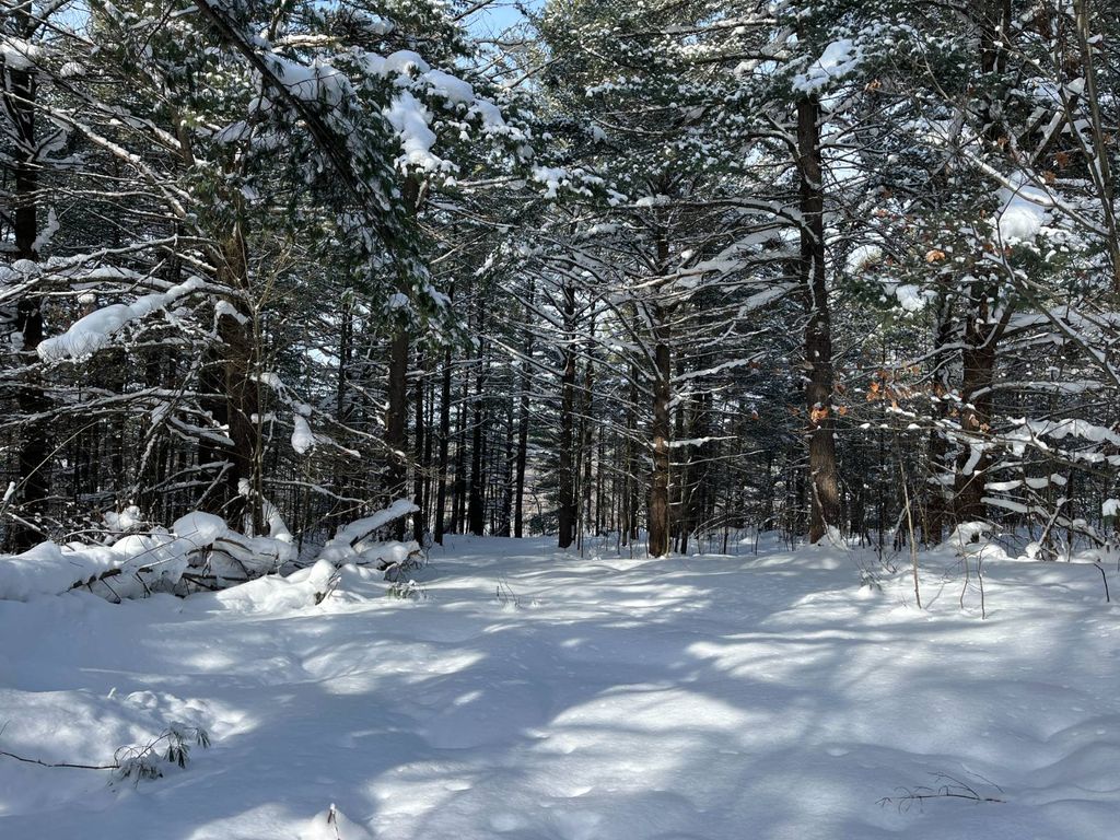 Photo of 00 Arnoldville Rd #2, Diana, NY 13648 (MLS # 11642810)