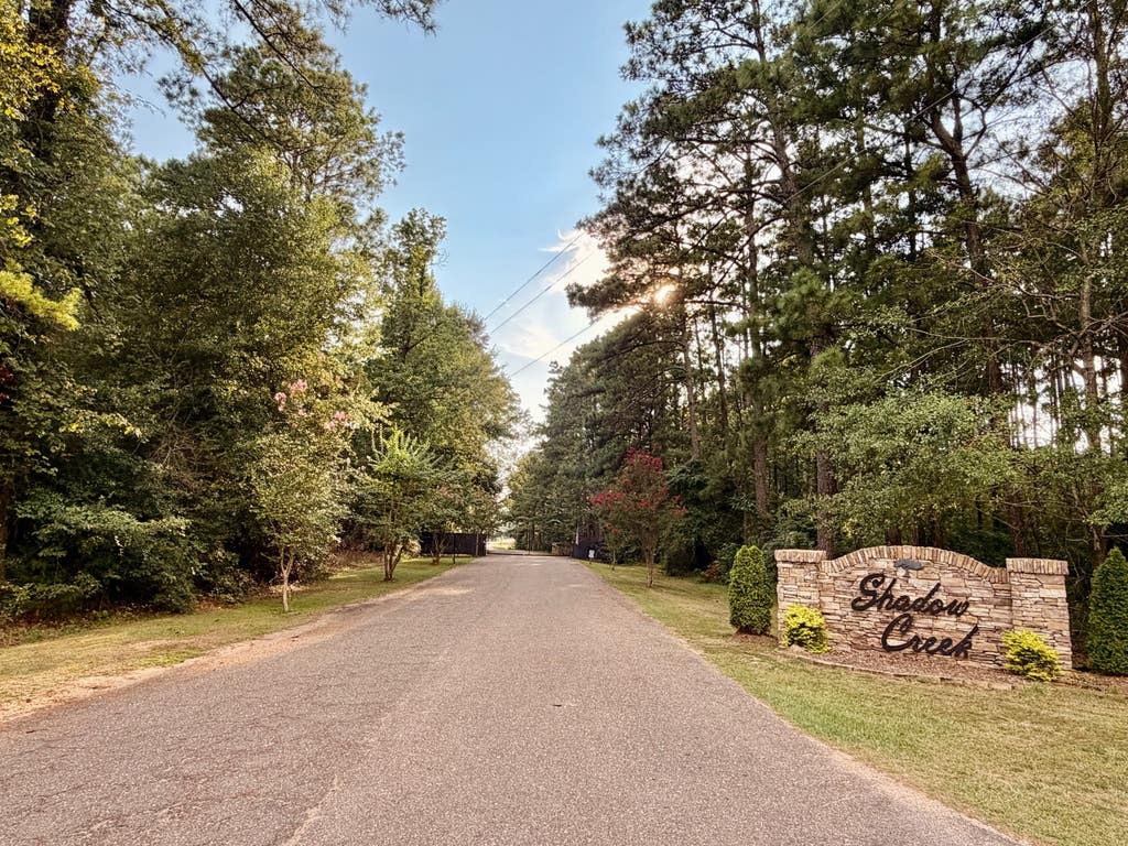 Photo of 36 Shadow Creek #36, Camden, AL 36726 (MLS # 11928540)