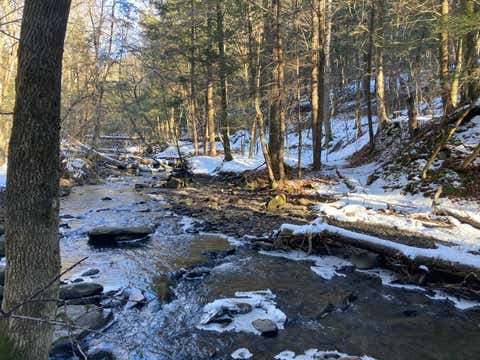 Photo of 0 Highway 19, Plainfield, NY 13491 (MLS # 11242482)