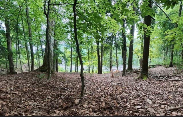 Photo of 0 State Highway 80, Springfield Center, NY 13468 (MLS # 11928496)