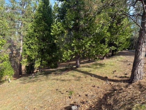 Photo of 12037 Breckenridge Rd, Groveland, CA 95321 (MLS # 11801806)