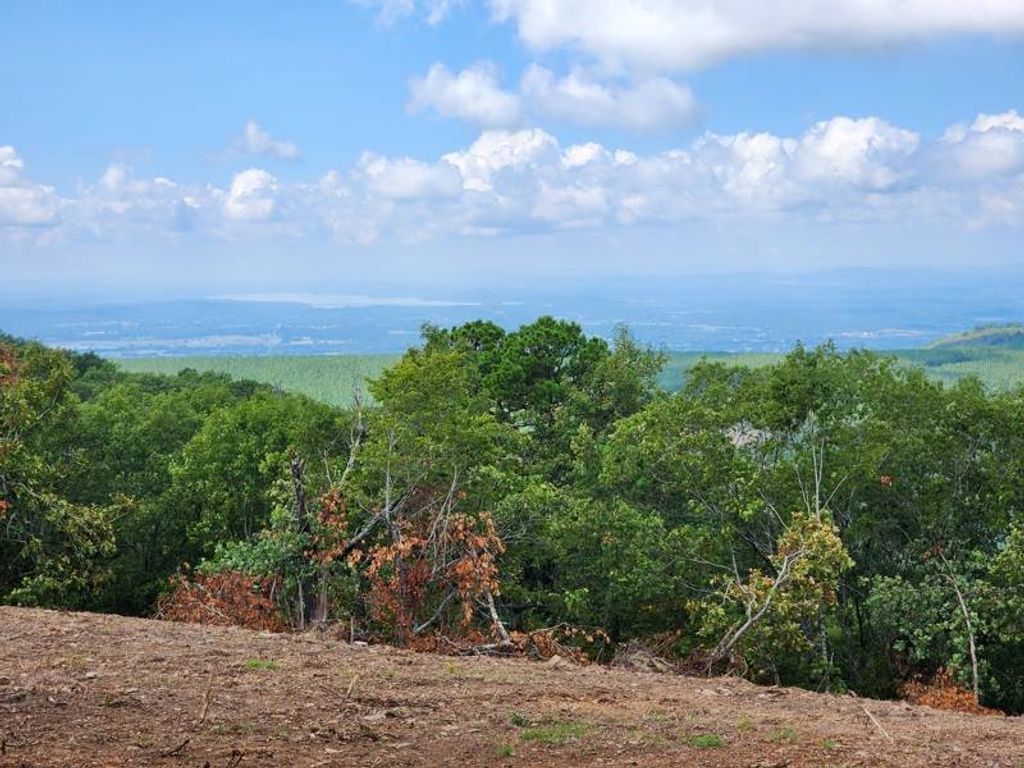 Photo of 35 Tract 35 TBD Poteau Mtn, Howe, OK 74940 (MLS # 11675823)