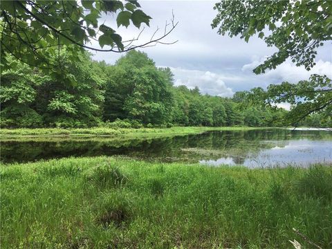 Photo of 17110791 Horseshoe Lake Rd, Bethel, NY 12720 (MLS # 11680407)