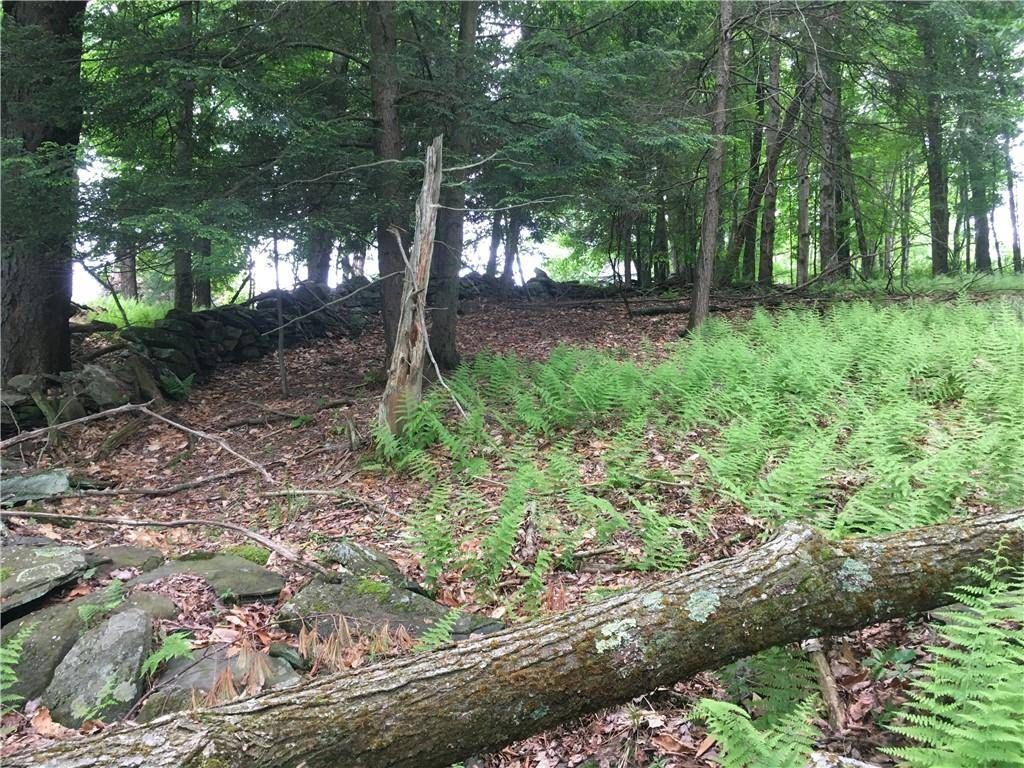 Photo of 17110791 Horseshoe Lake Rd, Bethel, NY 12720 (MLS # 11680407)