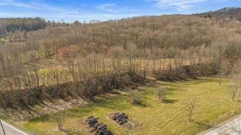 Photo of 9111 Lutheranville Rd, Summit, NY 12175 (MLS # 11737621)