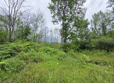 Photo of 2803 Halbert Hill Rd, Butternuts, NY 13809 (MLS # 11912884)