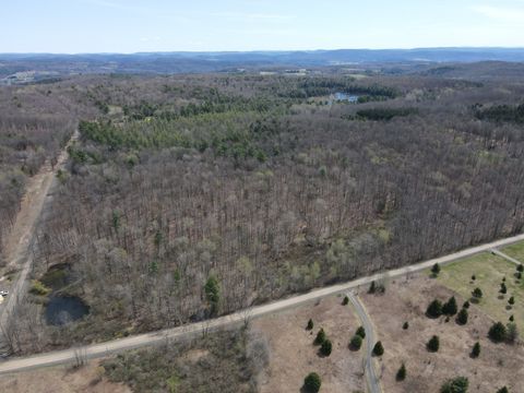 Photo of 0 Cook Rd, Cooperstown, NY 13326 (MLS # 11715798)