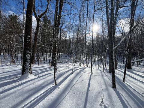 Photo of 00 Lafaver Rd #7, Hermon, NY 13652 (MLS # 11638066)