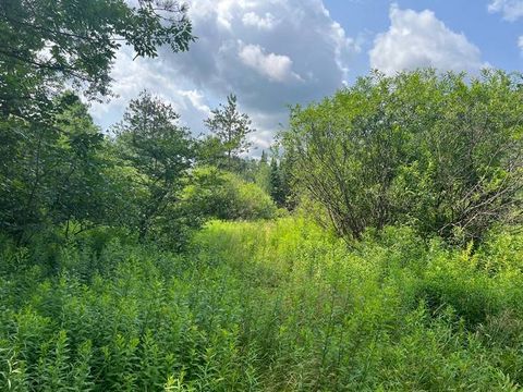 Photo of 11 Hoag-Childes Rd #1, Pharsalia, NY 13815 (MLS # 11195747)