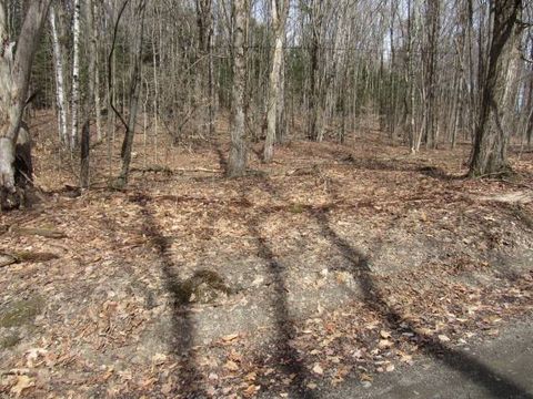 Photo of 0 Oriole Road, Cooperstown, NY 13326 (MLS # 11456423)