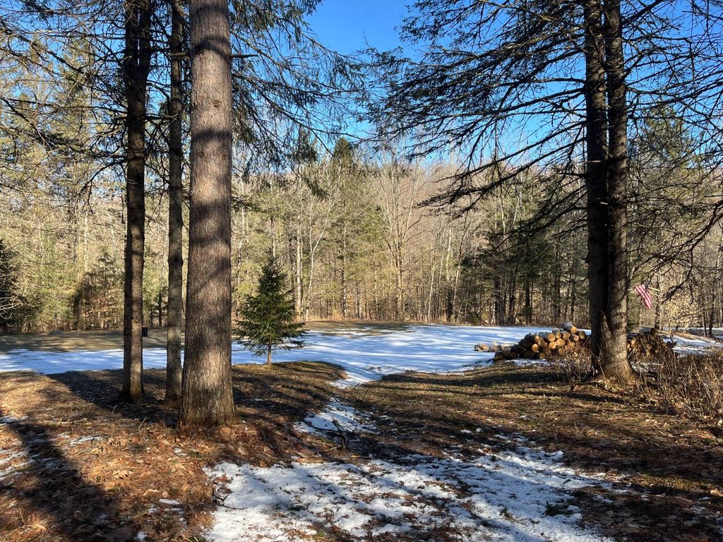 Photo of 325 Lafaver Rd #1, Russell, NY 13684 (MLS # 11684074)