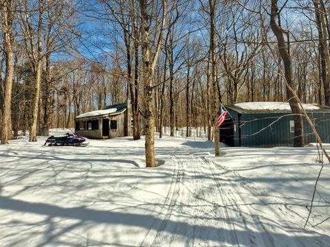 Photo of 64 Beaver Crk, Redfield, NY 13437 (MLS # 11690632)