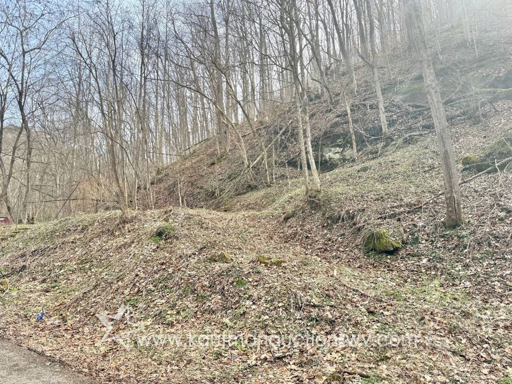 Photo of 0 Pete Hollow Rd, Belle, WV 25015 (MLS # 11678269)
