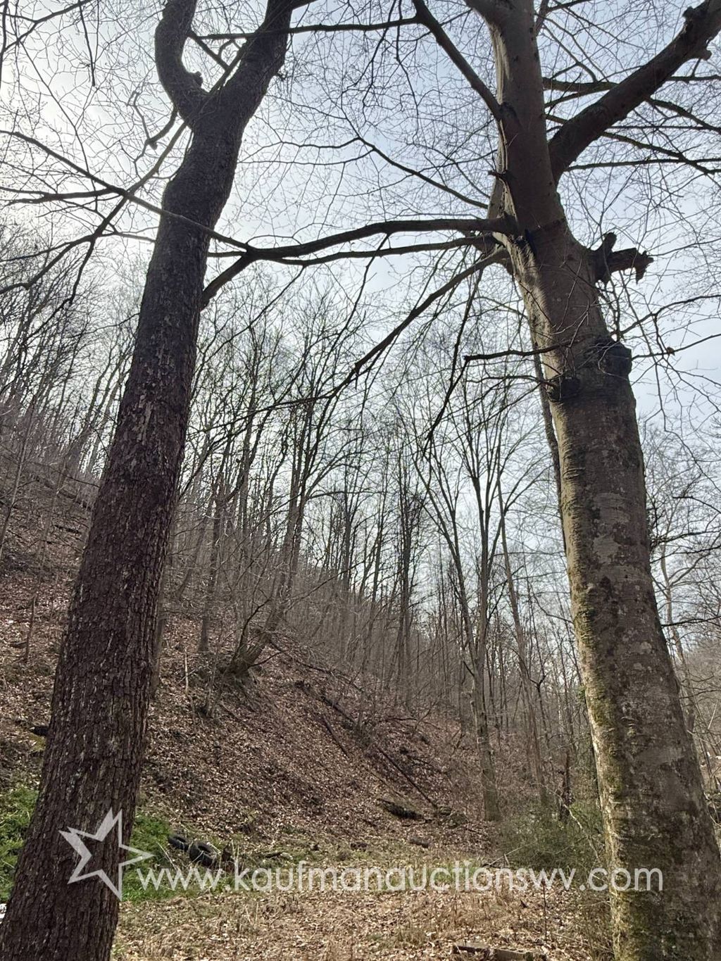 Photo of 0 Pete Hollow Rd, Belle, WV 25015 (MLS # 11678269)