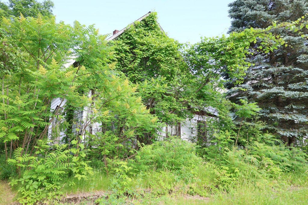 Photo of 33 S Pearl St, Malone, NY 12953 (MLS # 11866588)