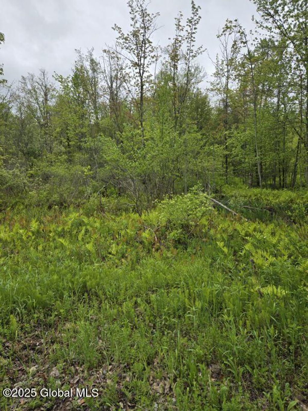 Photo of 4 Johnson Road, Glenville, NY 12302 (MLS # 11654353)