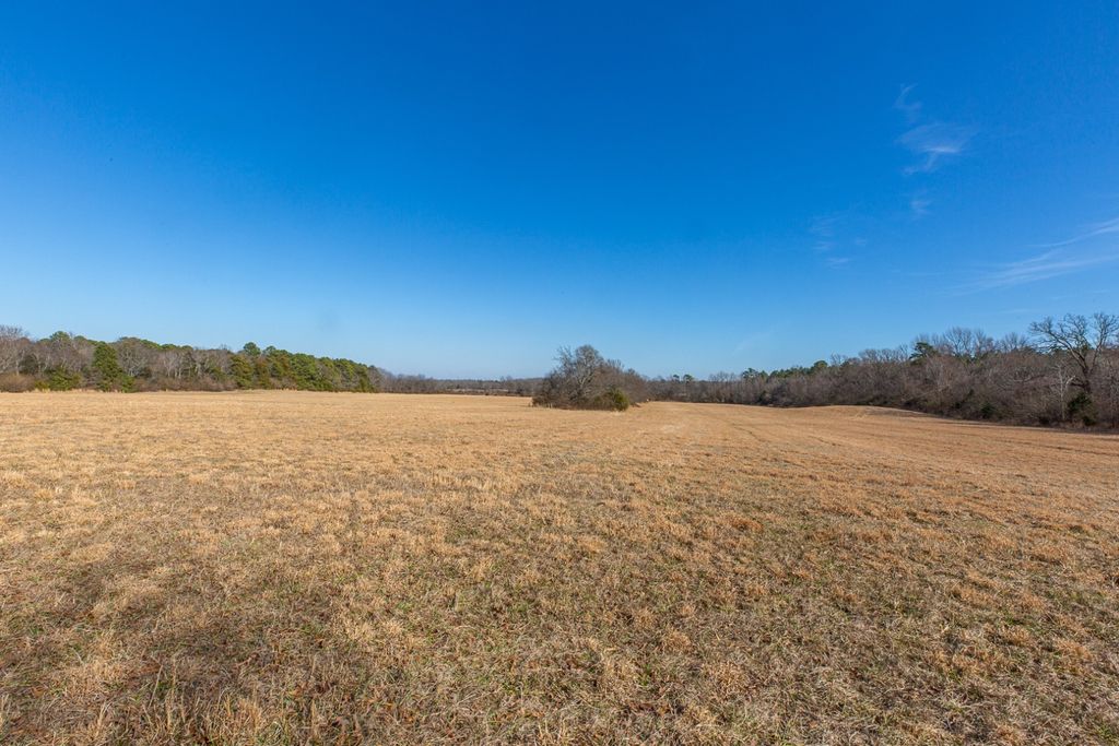 Photo of TBD Polk Road 626, Mena, AR 71953 (MLS # 11652436)