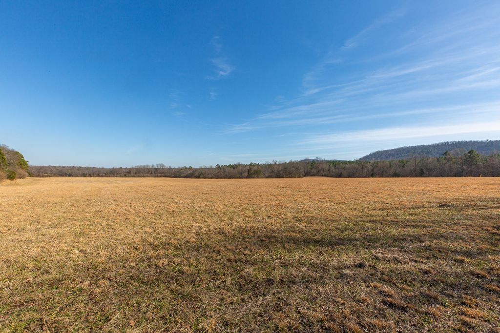 Photo of TBD Polk Road 626, Mena, AR 71953 (MLS # 11652436)