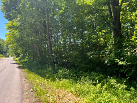 Photo of 0 Wiley Town Road, Fly Creek, NY 13337 (MLS # 11331826)