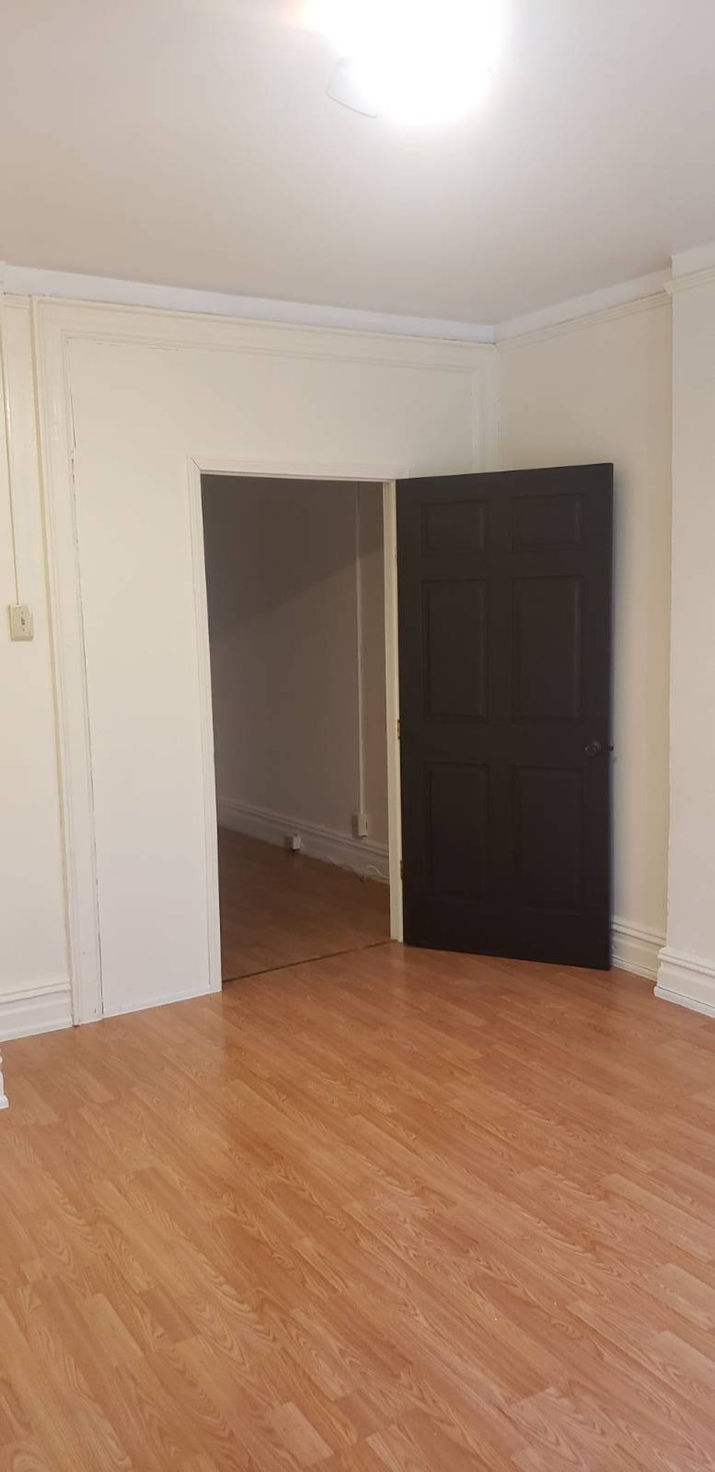 Photo of 6819 3rd Avenue #3R, brooklyn, NY 11220 (MLS # 11677245)