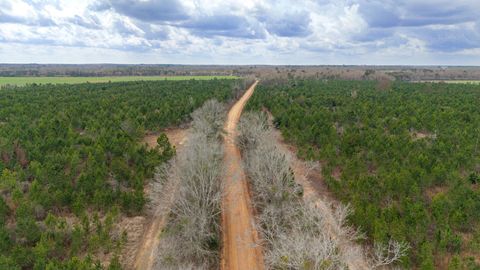 Photo of O Chestnutt Rd, Slocomb, AL 36375 (MLS # 11742642)