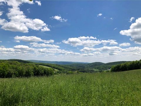 Photo of 22207 Nersesian Rd, Hartwick, NY 13348 (MLS # 11155298)