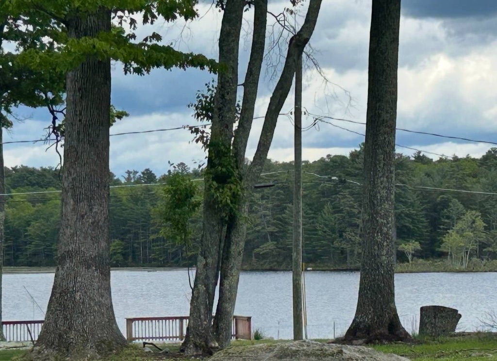 Photo of 177 Mohican Trl, Glen Spey, NY 12737 (MLS # 11922529)