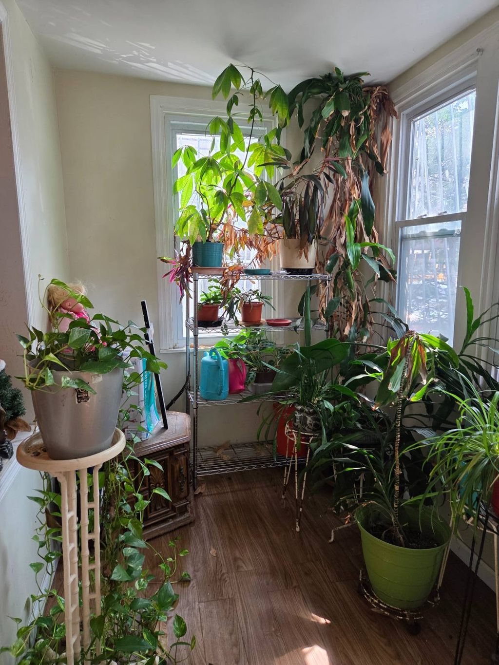 Photo of 1243 37th St, Brooklyn, NY 11218 (MLS # 11590984)