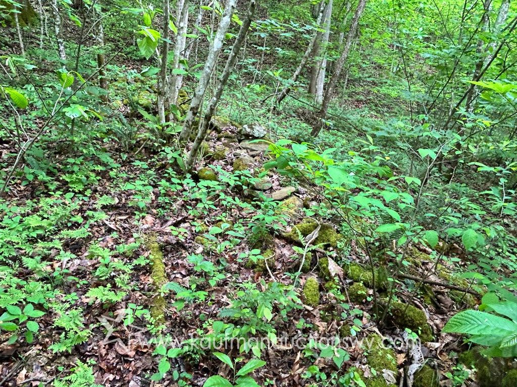 Photo of 0 Webb Rd, Crum, WV 25669 (MLS # 11741981)