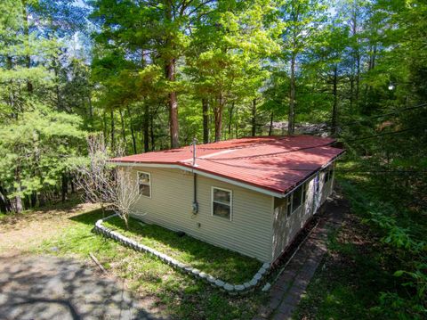 Photo of 51 Enchanted Valley Road, Durham, NY 12423 (MLS # 11776637)