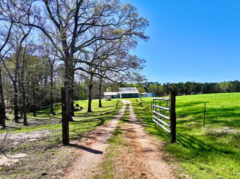 Photo of 9538 Nathan Jordan Road, Millry, AL 36558 (MLS # 11676694)
