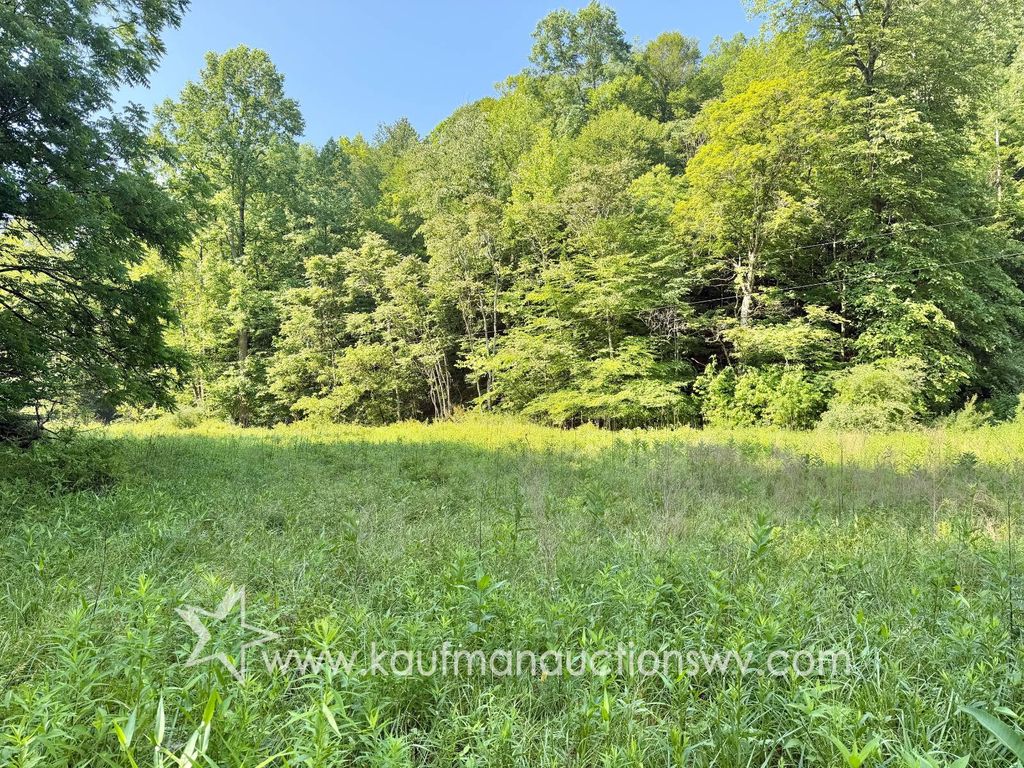 Photo of 407 Grasslick Rd, Gassaway, WV 26624 (MLS # 11842127)