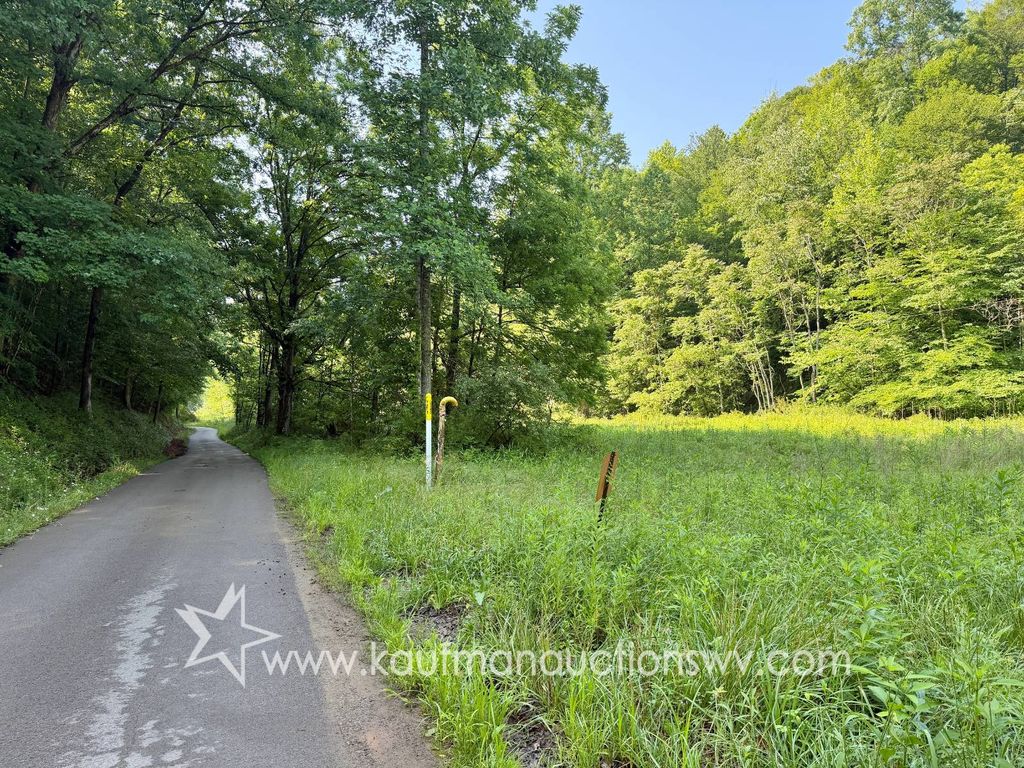 Photo of 407 Grasslick Rd, Gassaway, WV 26624 (MLS # 11842127)